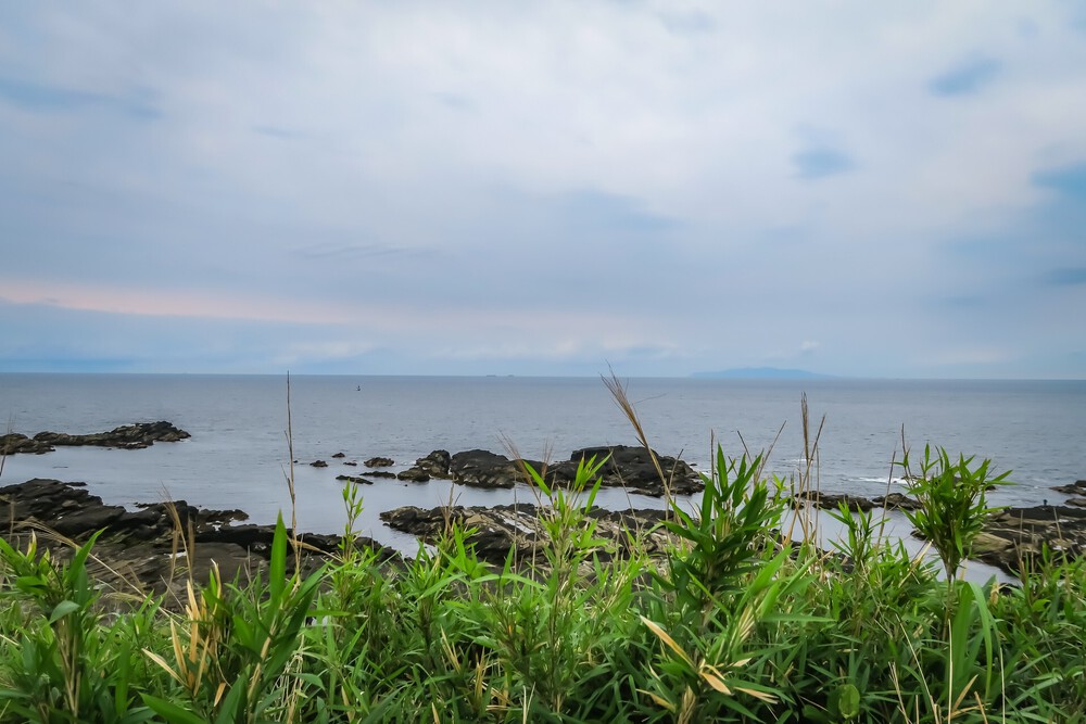 城ヶ島ねこまっしぐランの写真5