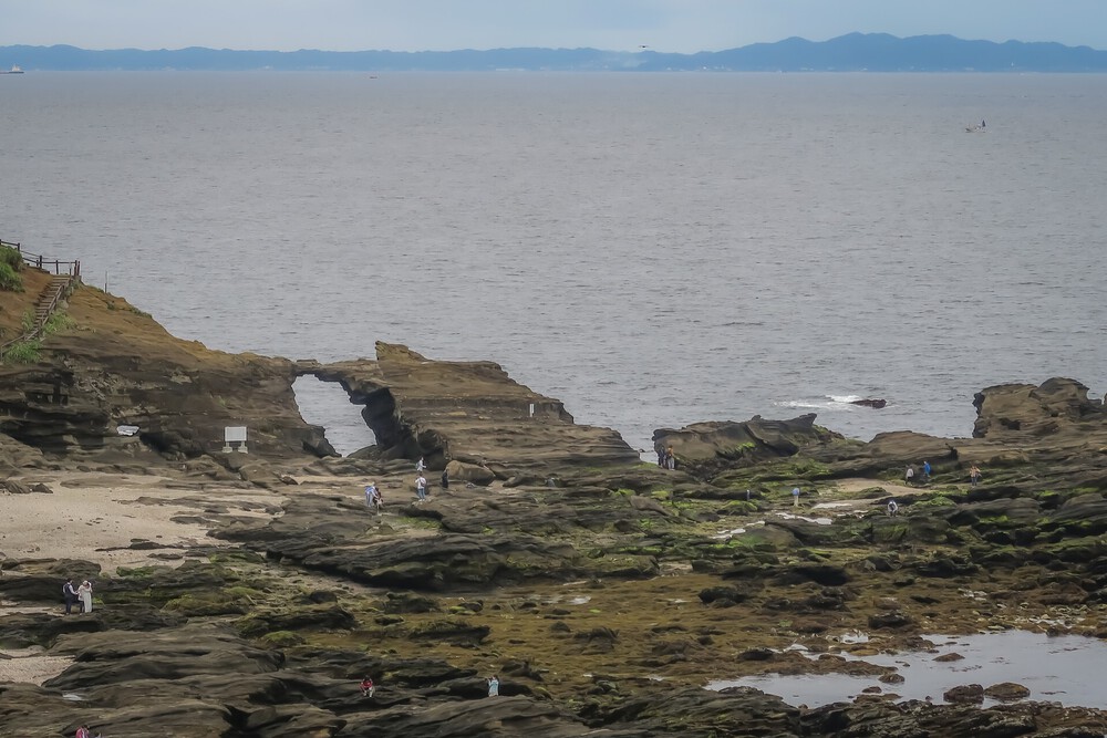 城ヶ島ねこまっしぐランの写真7