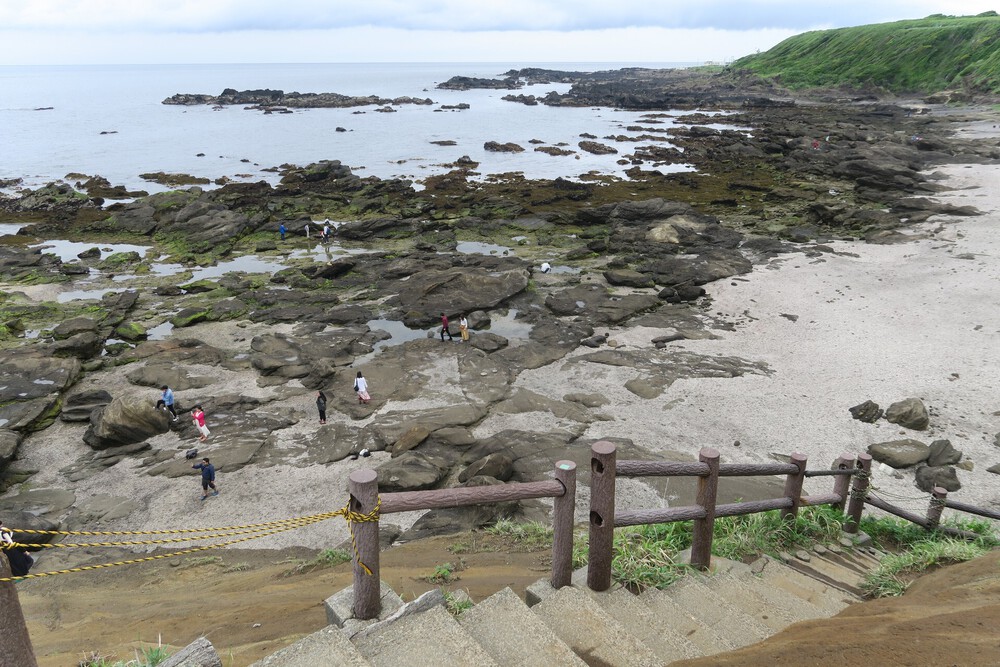 城ヶ島ねこまっしぐランの写真8