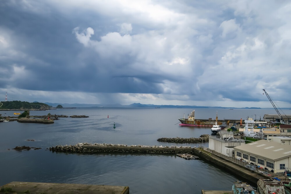 城ヶ島ねこまっしぐランの写真19