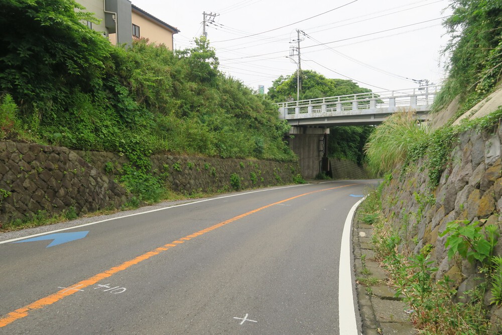 城ヶ島ねこまっしぐランの写真22
