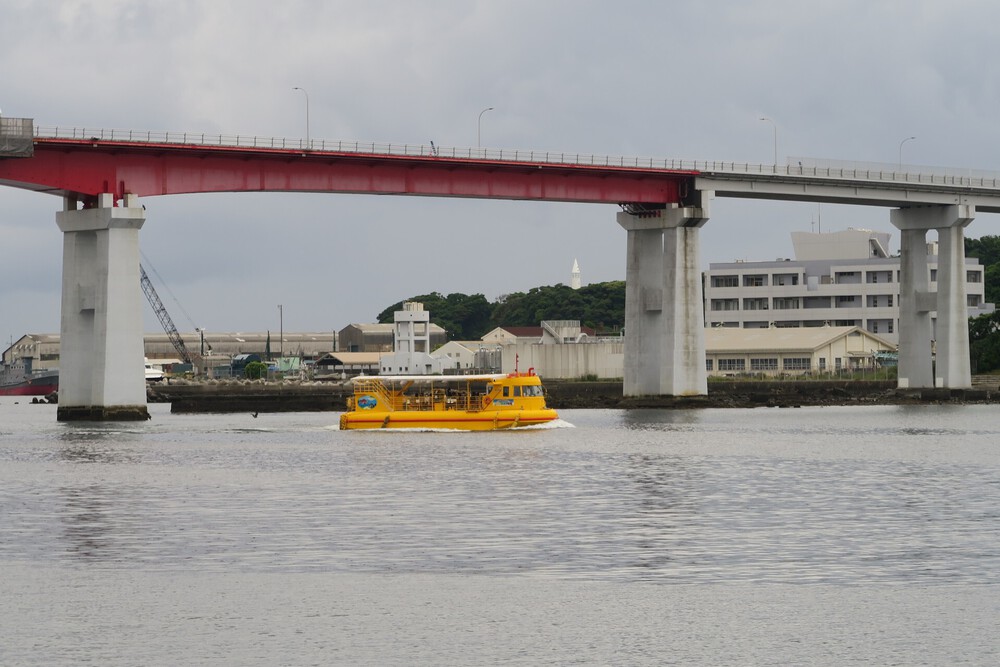 城ヶ島ねこまっしぐランの写真23