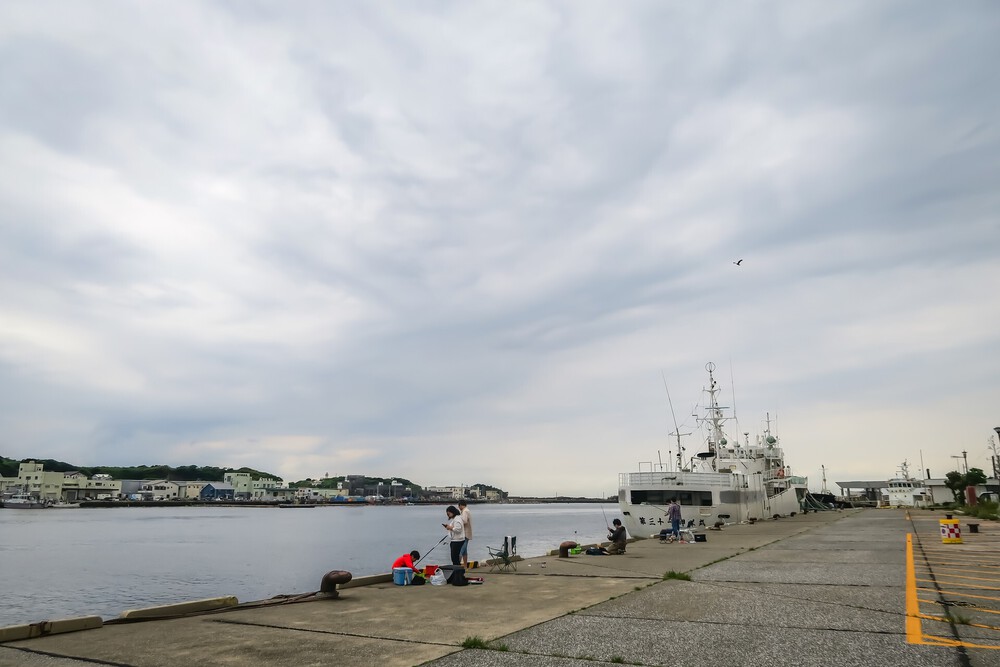 城ヶ島ねこまっしぐランの写真24