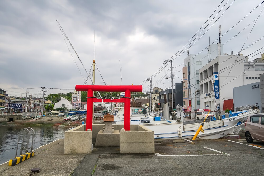 城ヶ島ねこまっしぐランの写真25