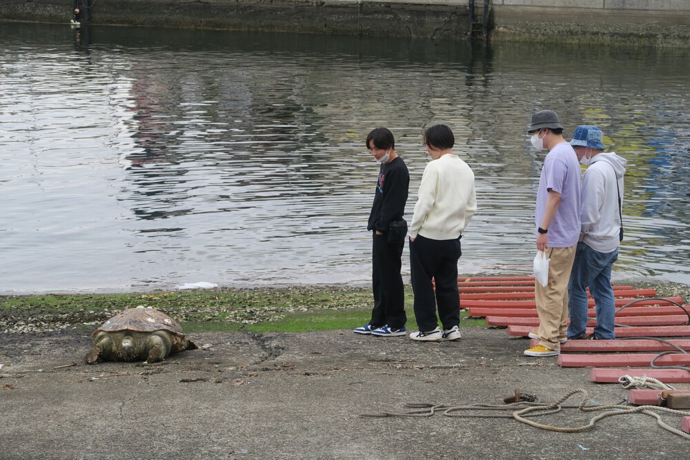 城ヶ島ねこまっしぐランの写真26
