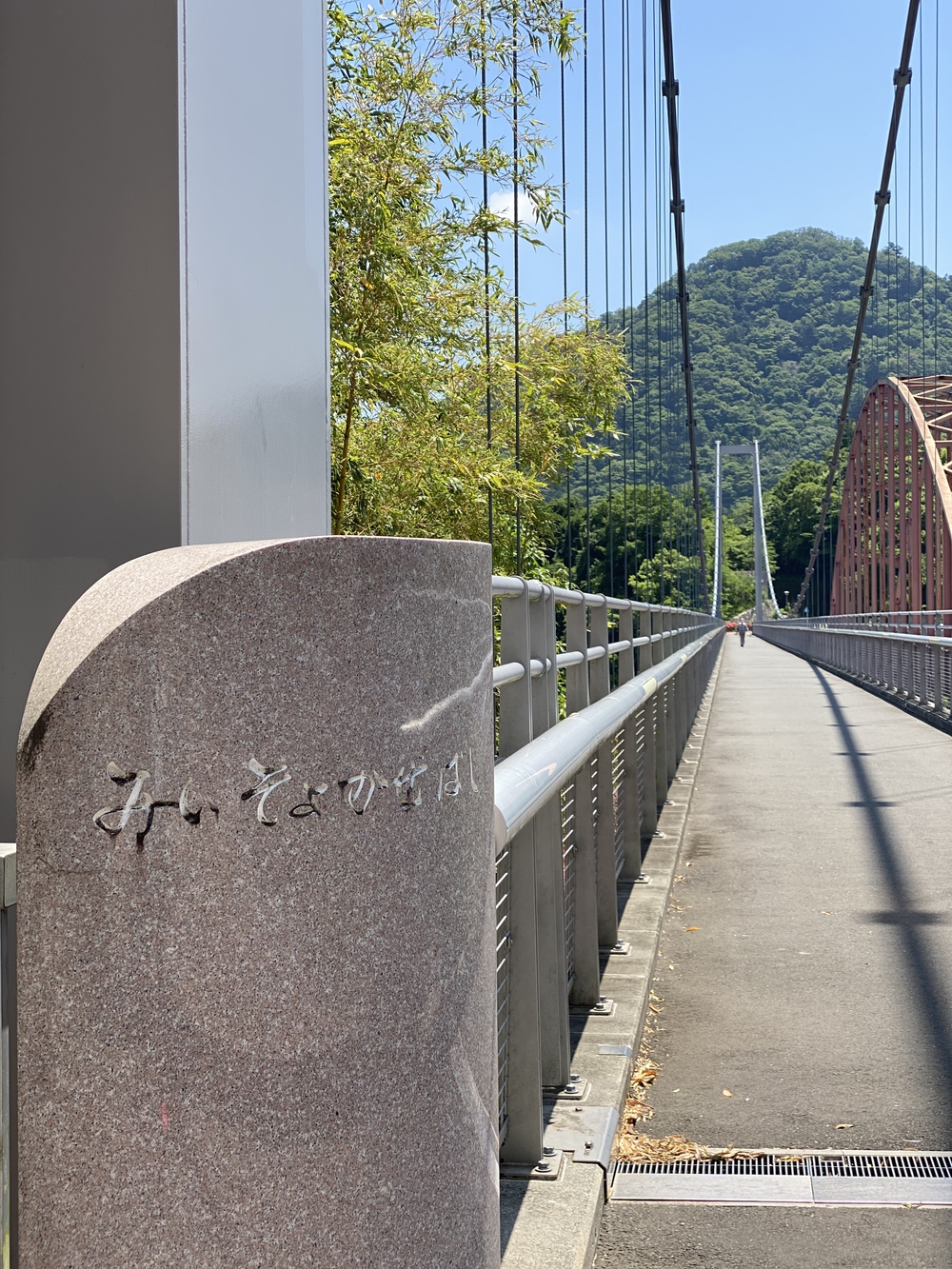 緑を愛でながら津久井湖を半周（約6km）RUNの写真4