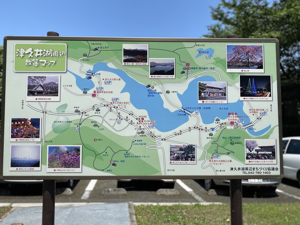 緑を愛でながら津久井湖を半周（約6km）RUNの写真5