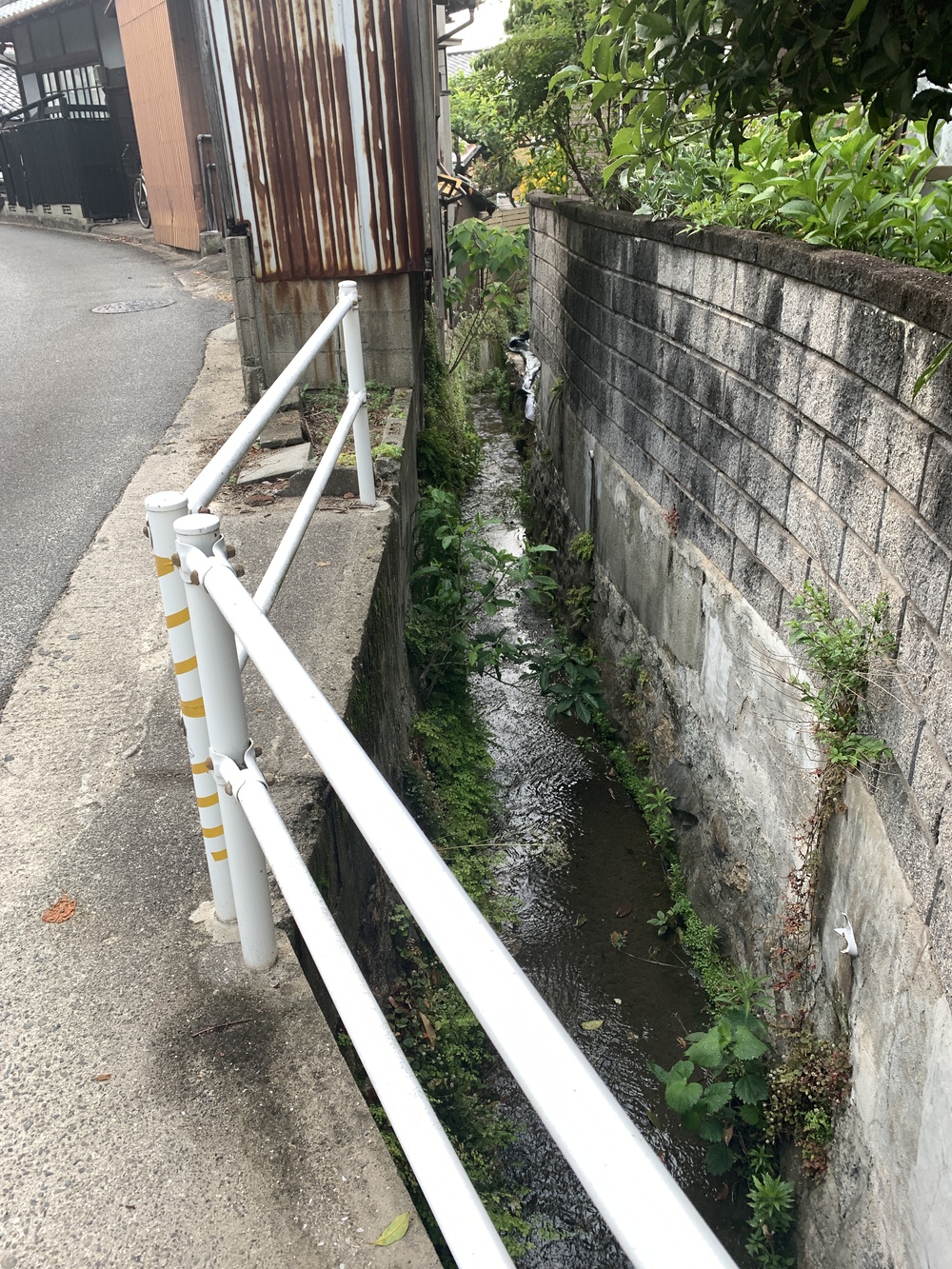 観光ジョグ：呉／港～二百階段～二河渓～三ツ蔵～すずさん家～呉一望の写真11