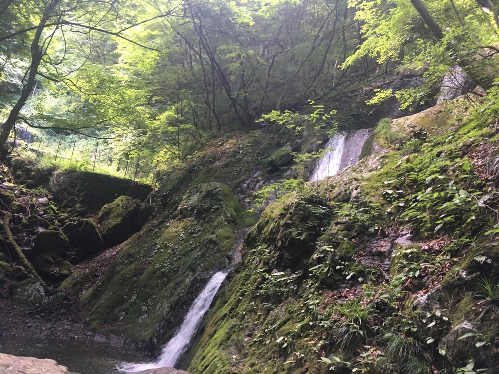 【奥多摩滝めぐり！！】鳩ノ巣～梅沢三滝～大岳山～瀬音の湯コースの写真4