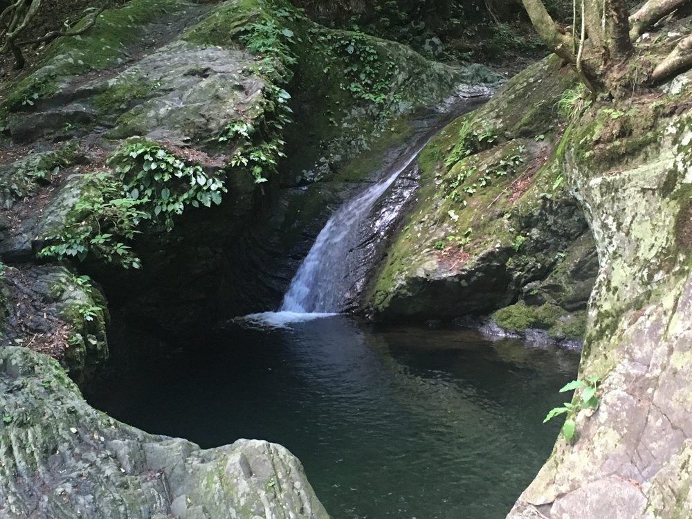 【奥多摩滝めぐり！！】鳩ノ巣～梅沢三滝～大岳山～瀬音の湯コースの写真5