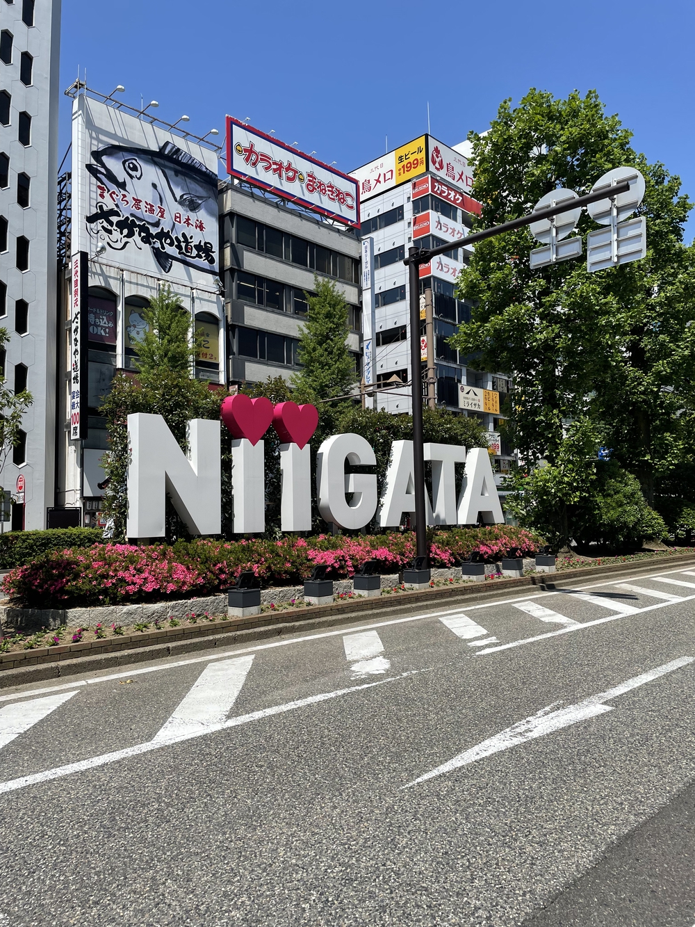 歌川広重た共にRUN 新潟の写真3