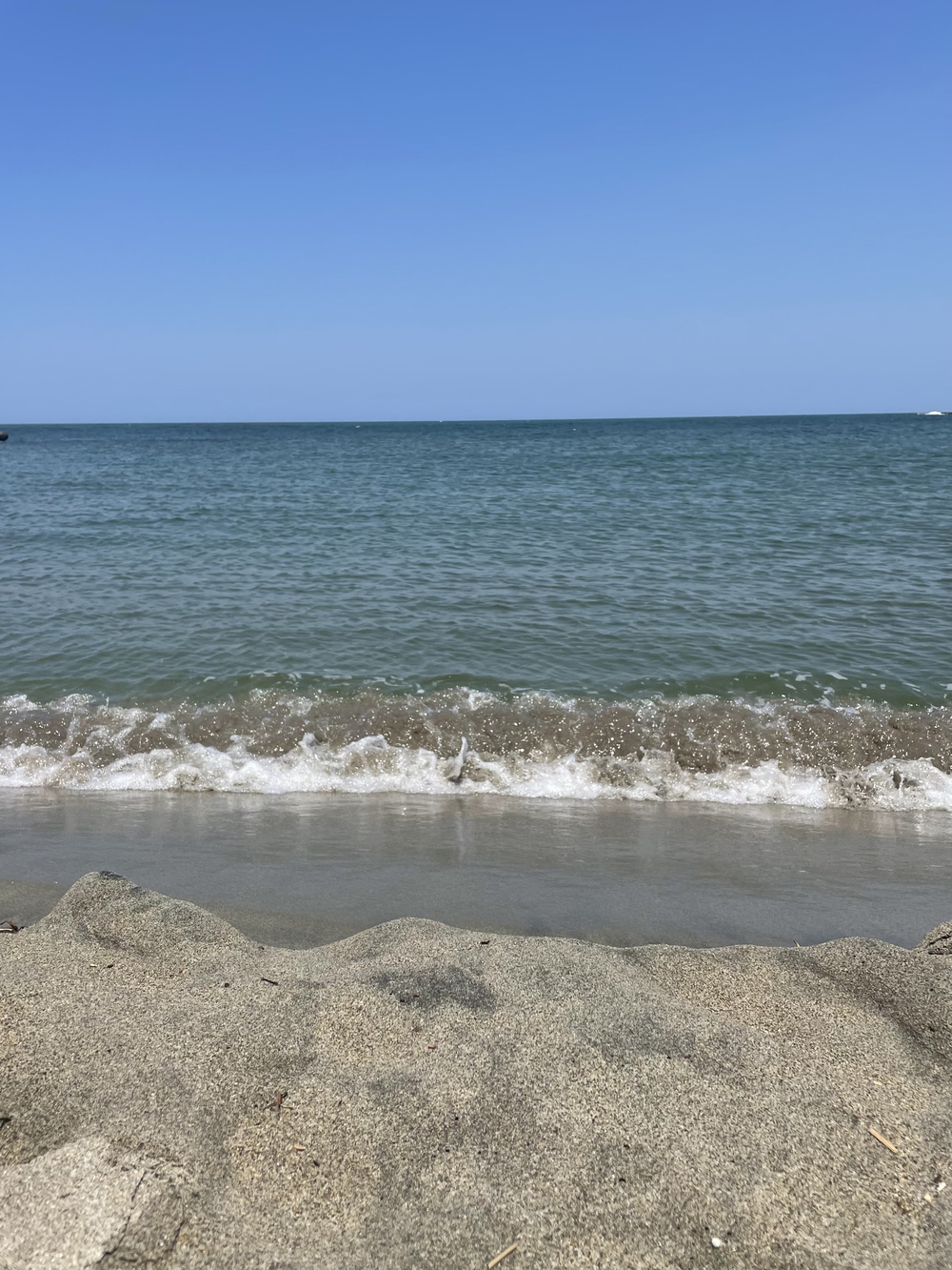 歌川広重た共にRUN 新潟の写真6