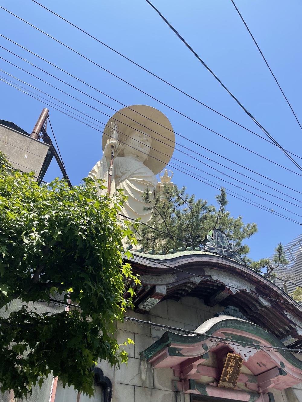 歌川広重た共にRUN 新潟の写真8