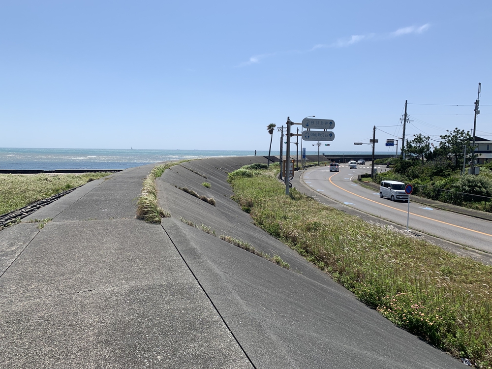 初夏の御前崎 ヤシの木ロードとサンロードの写真5