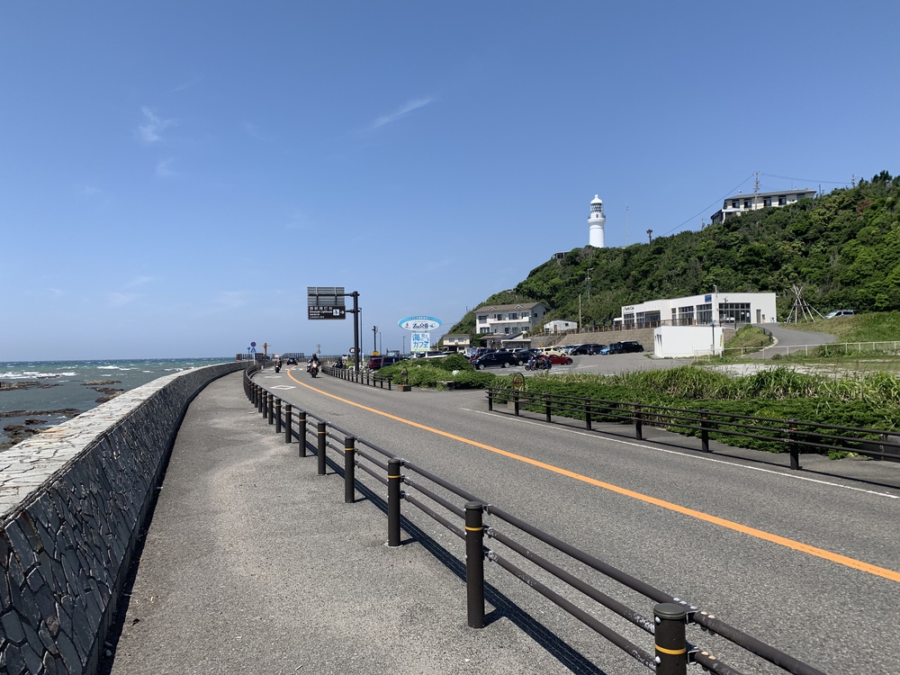 初夏の御前崎 ヤシの木ロードとサンロードの写真6