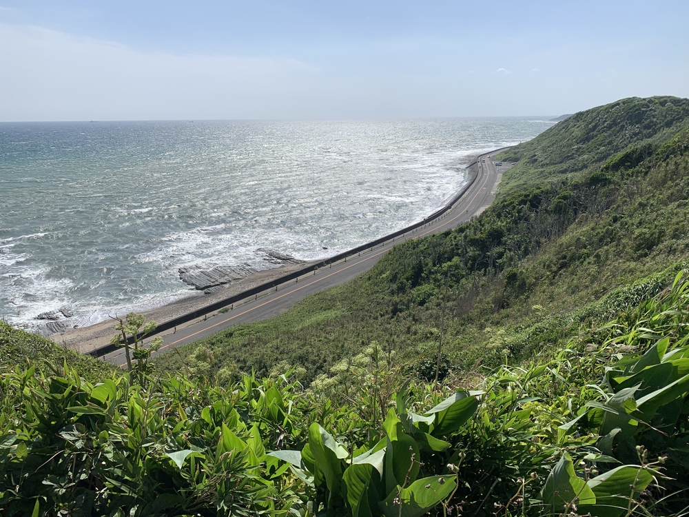 初夏の御前崎 ヤシの木ロードとサンロードの写真9