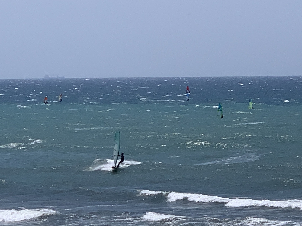 初夏の御前崎 ヤシの木ロードとサンロードの写真10