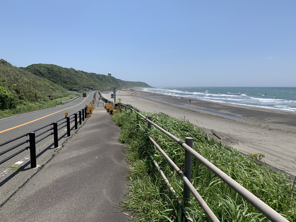 初夏の御前崎 ヤシの木ロードとサンロードの写真11