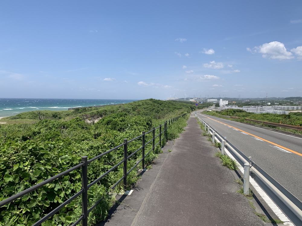 初夏の御前崎 ヤシの木ロードとサンロードの写真12