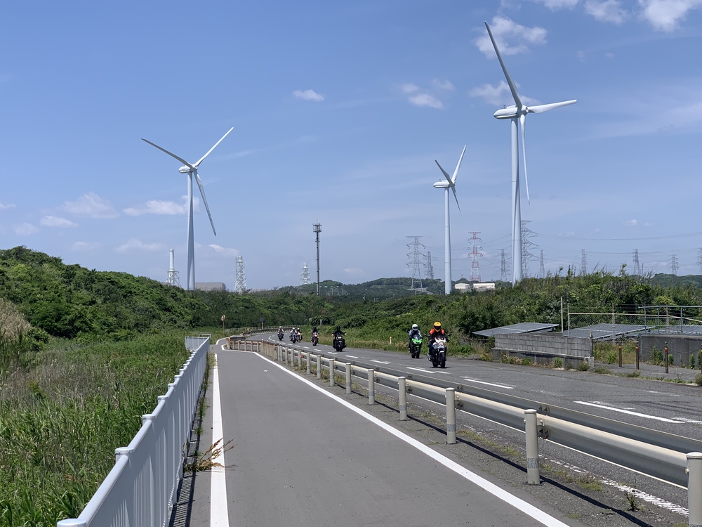 初夏の御前崎 ヤシの木ロードとサンロードの写真13