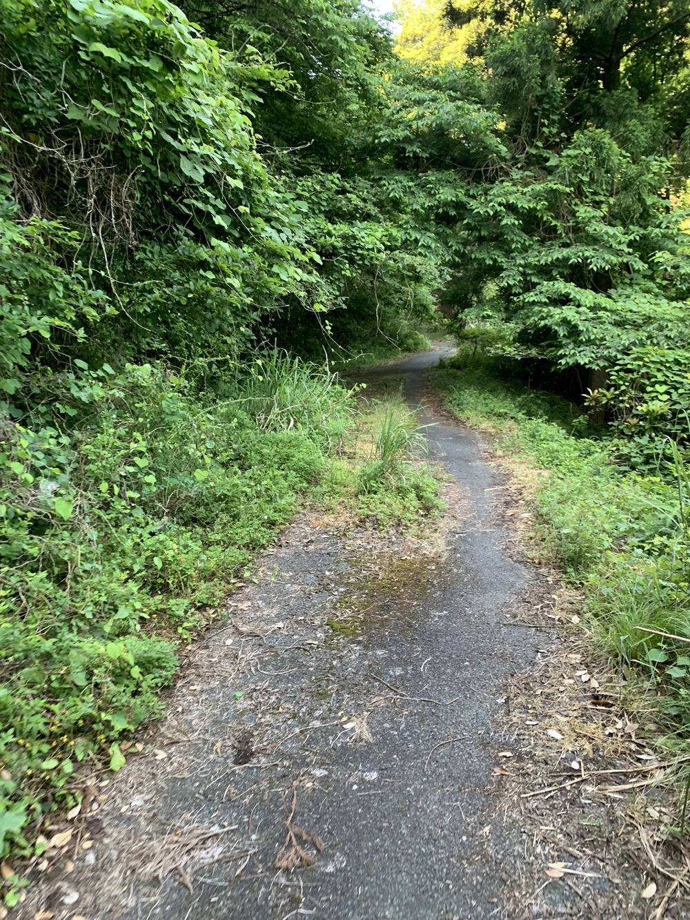 発電所前の地獄の坂道！　舞鶴・大浦の海辺を走るの写真3