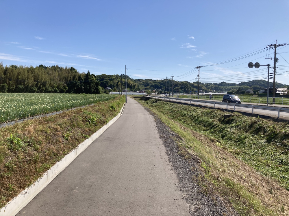 福岡マラソンのゴールの練習の写真4