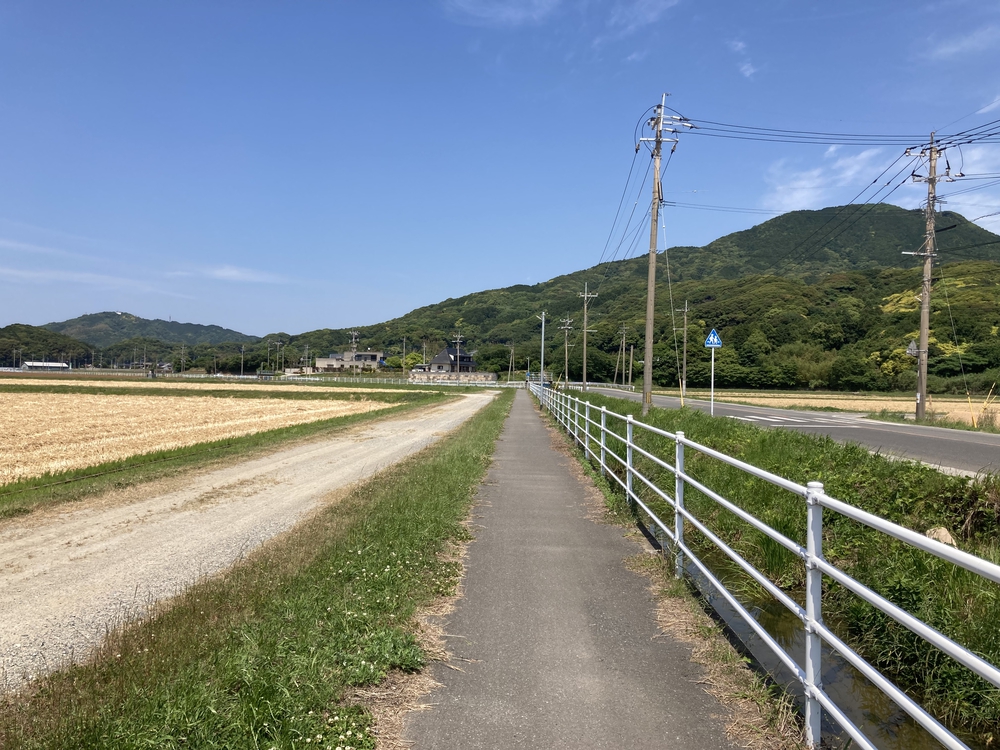 福岡マラソンのゴールの練習の写真6