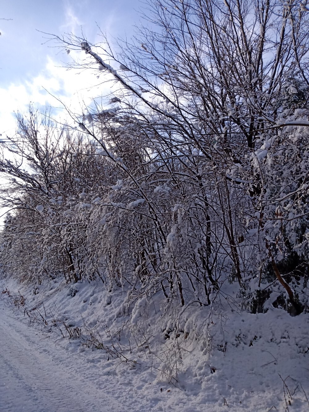 ワラチアン トレイル　頂上付近からの絶景　チェコの写真3