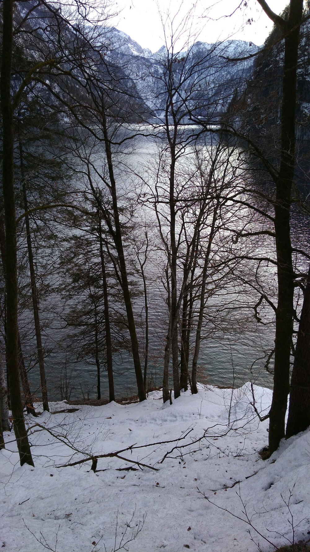 ベルヒテスガーデン国立公園　ケーニヒス湖沿いのスノートレイルの写真7