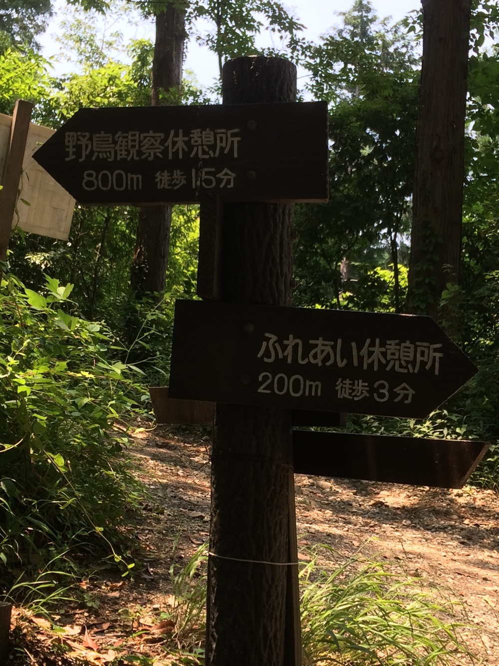 城山湖コミュニティ広場～自然ふれあい水路～小松ハイキングコース～城山湖散策路の写真3