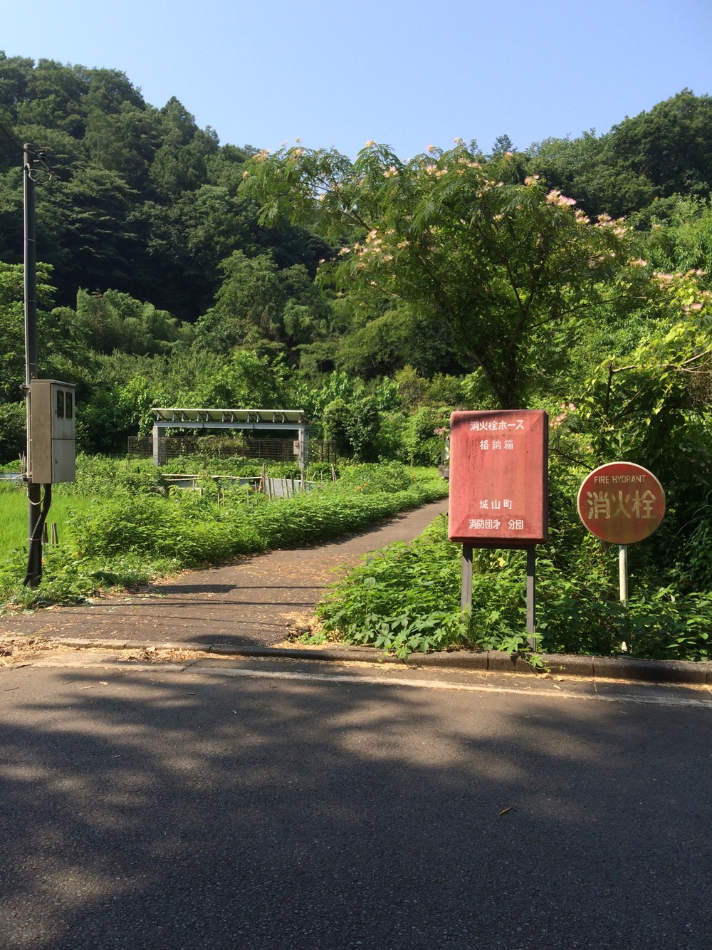 城山湖コミュニティ広場～自然ふれあい水路～小松ハイキングコース～城山湖散策路の写真5
