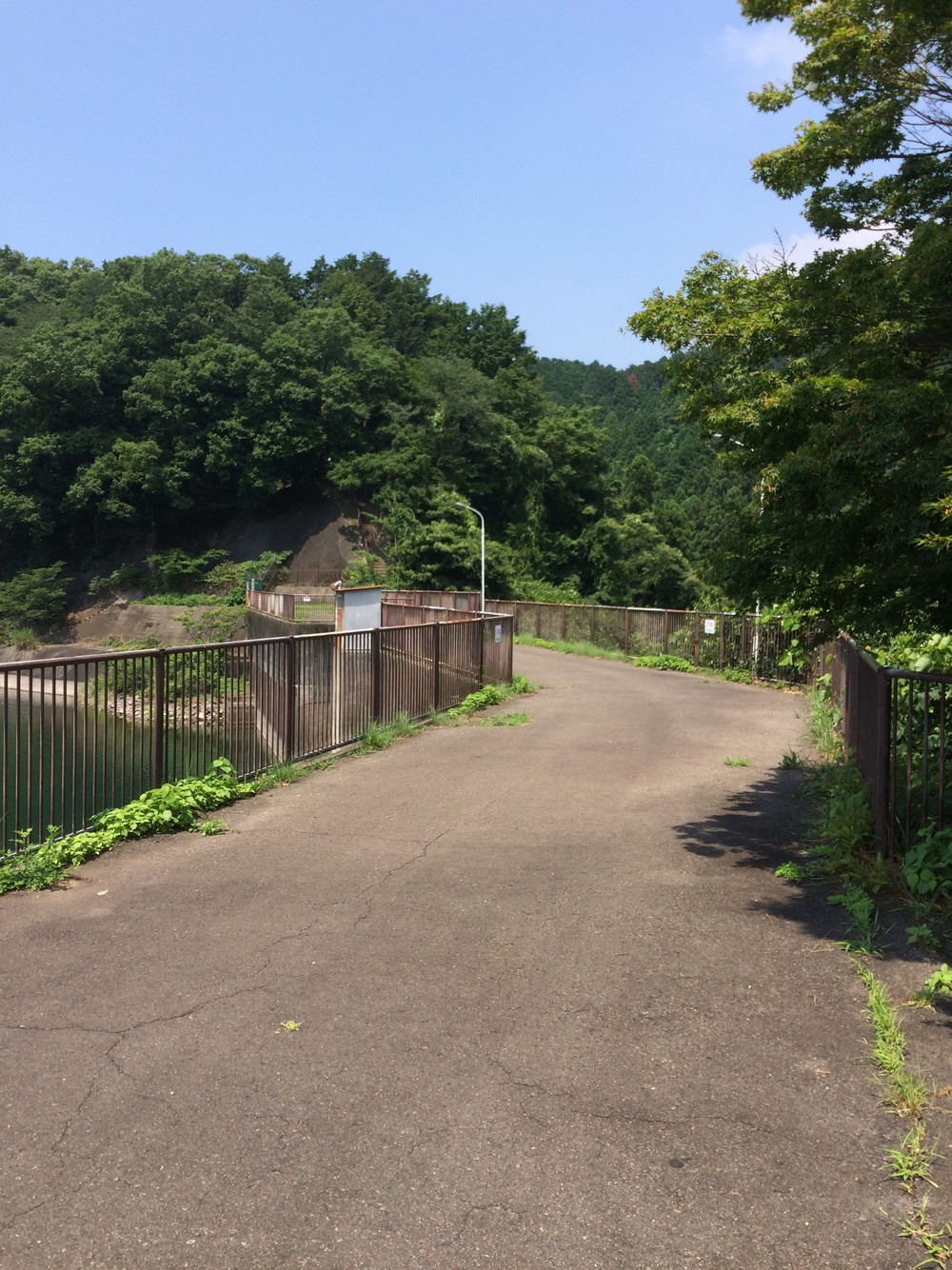 城山湖コミュニティ広場～自然ふれあい水路～小松ハイキングコース～城山湖散策路の写真7