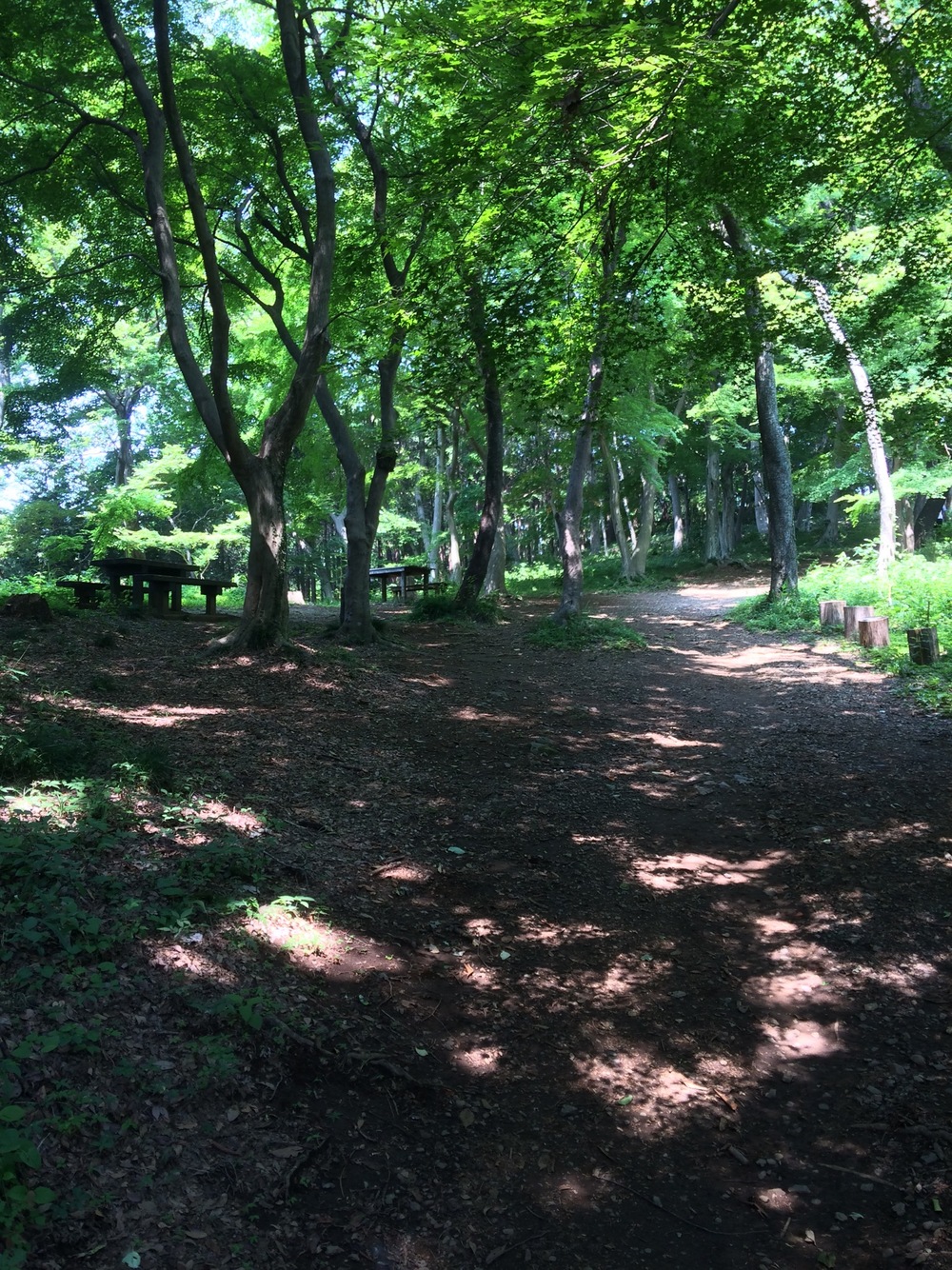 城山湖コミュニティ広場～自然ふれあい水路～小松ハイキングコース～城山湖散策路の写真8