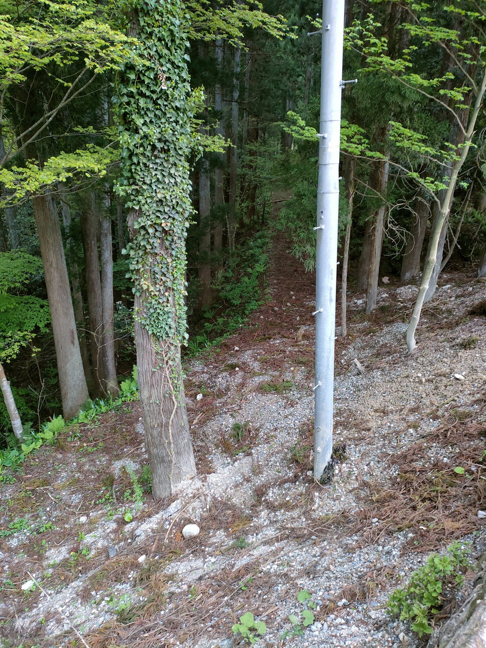 庄川水記念公園　閑乗寺公園展望台の写真4