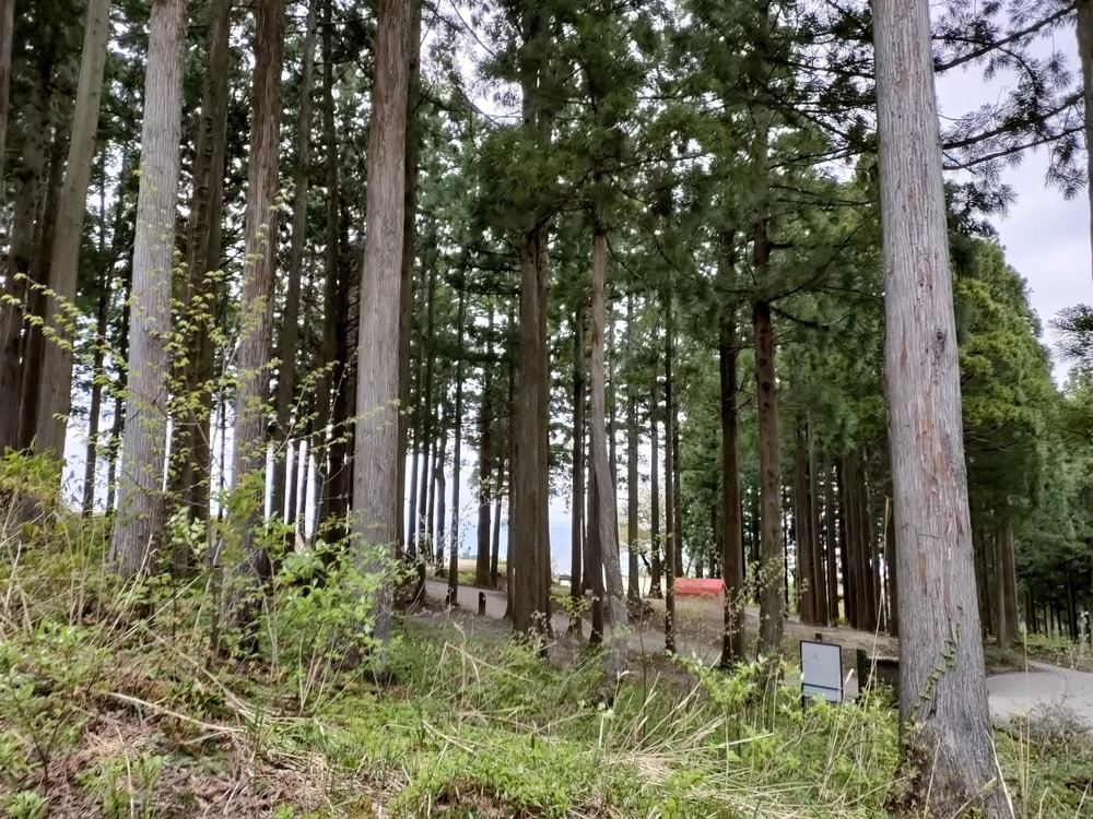 庄川水記念公園　閑乗寺公園展望台の写真5