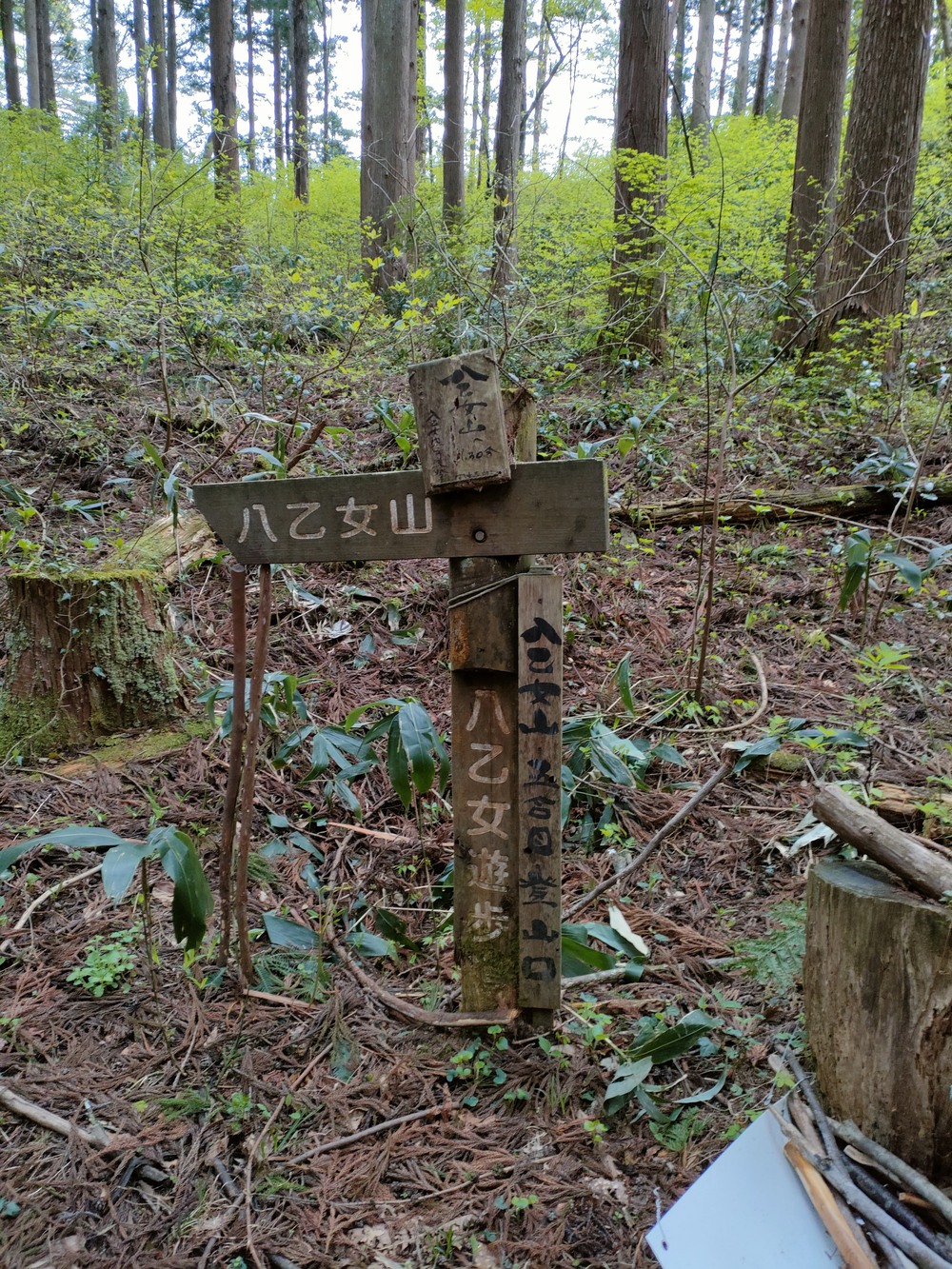 庄川水記念公園　閑乗寺公園展望台の写真13