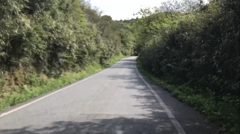 鳥取県 網代～浦富海岸「海沿いのトレイルラン」の写真11
