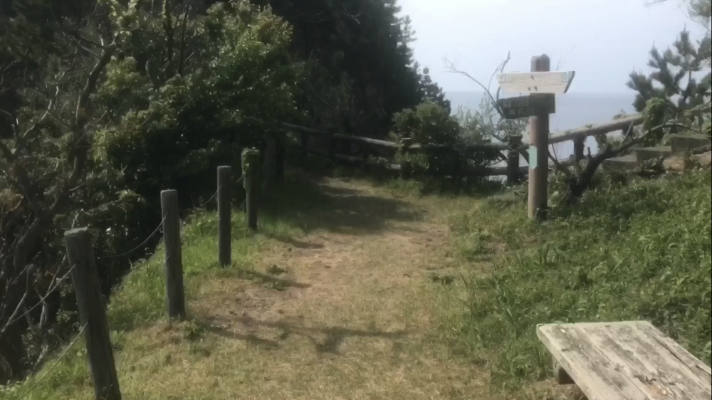 鳥取県 網代～浦富海岸「海沿いのトレイルラン」の写真16