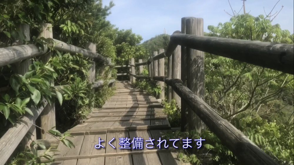 鳥取県 網代～浦富海岸「海沿いのトレイルラン」の写真19