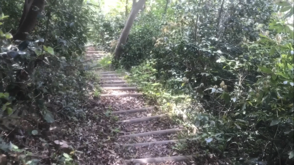 鳥取県 網代～浦富海岸「海沿いのトレイルラン」の写真21