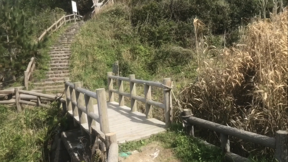 鳥取県 網代～浦富海岸「海沿いのトレイルラン」の写真25