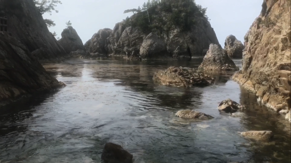 鳥取県 網代～浦富海岸「海沿いのトレイルラン」の写真31