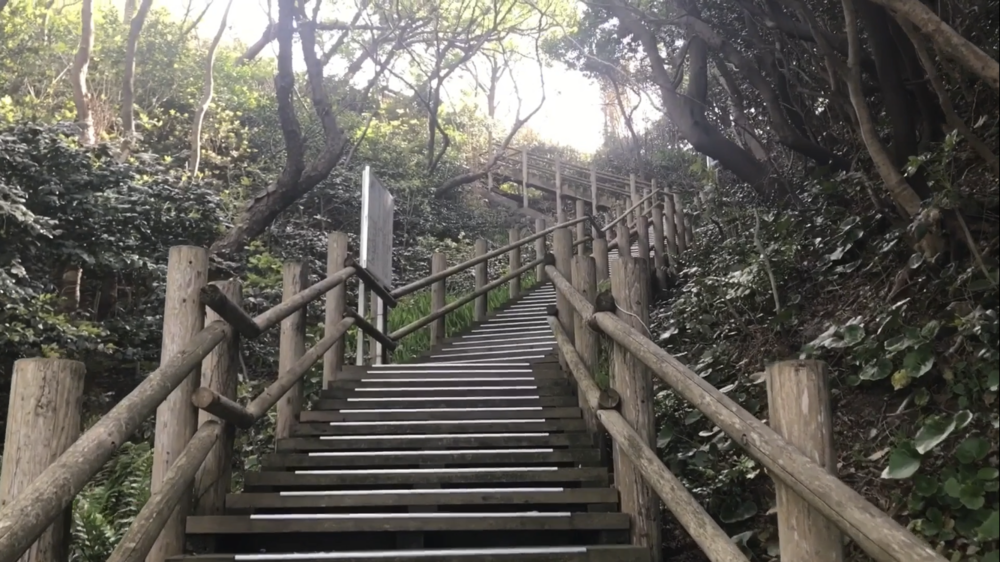 鳥取県 網代～浦富海岸「海沿いのトレイルラン」の写真34