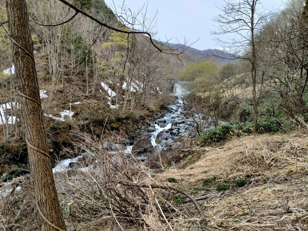 白馬岩岳　信濃路 自然歩道 岩岳ルートの写真3