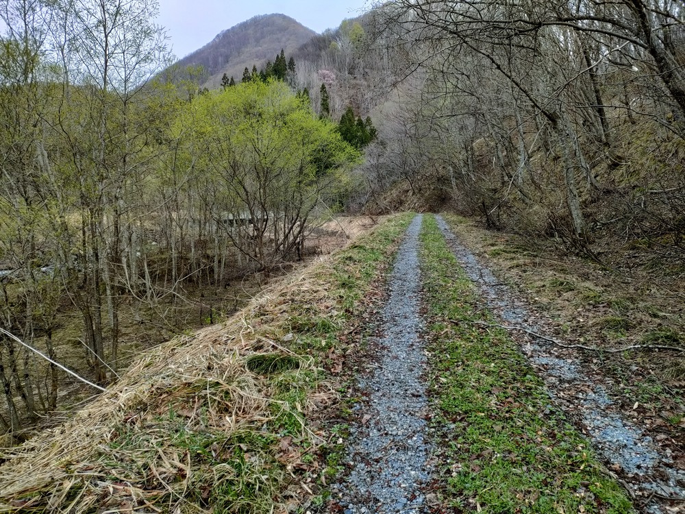 白馬岩岳　信濃路 自然歩道 岩岳ルートの写真5