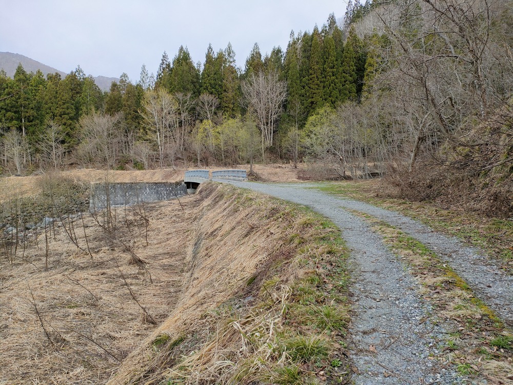白馬岩岳　信濃路 自然歩道 岩岳ルートの写真6