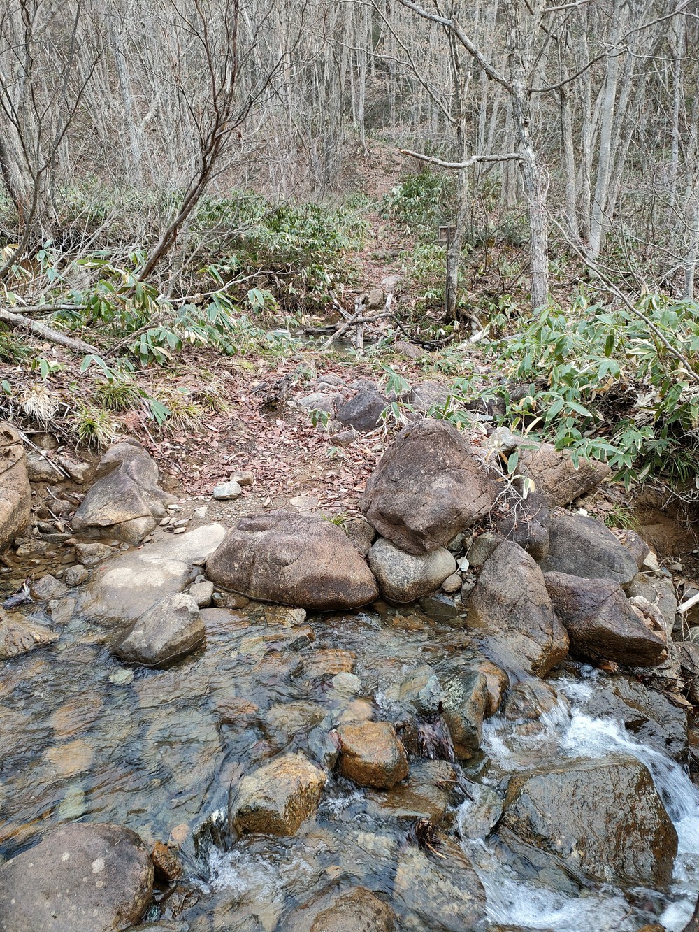 白馬岩岳　信濃路 自然歩道 岩岳ルートの写真8