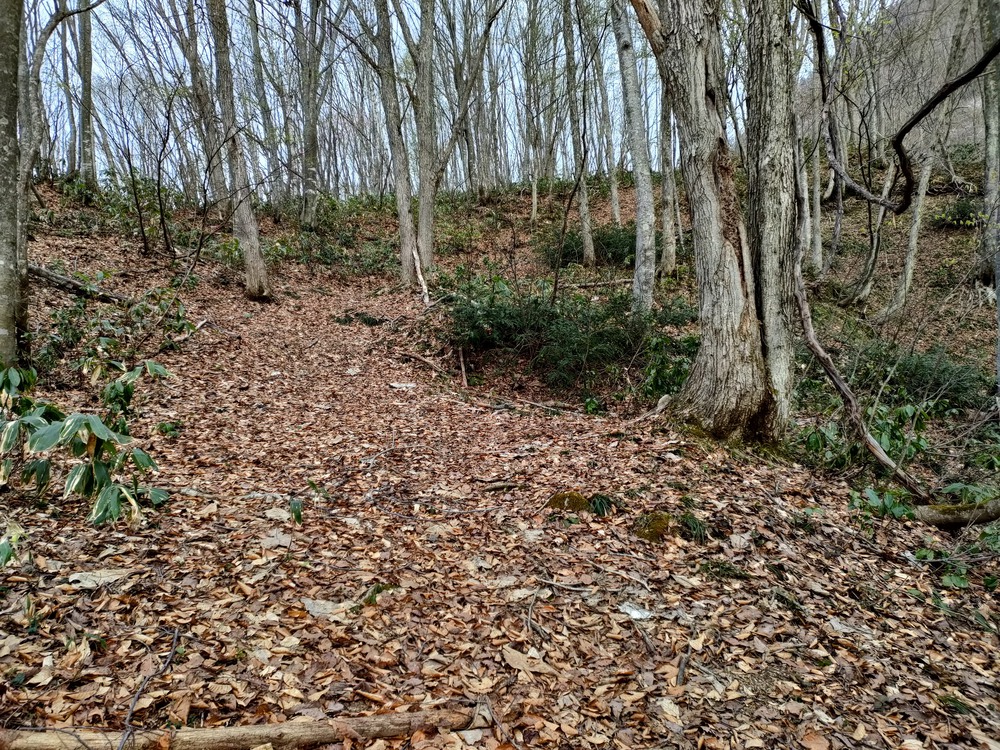 白馬岩岳　信濃路 自然歩道 岩岳ルートの写真11