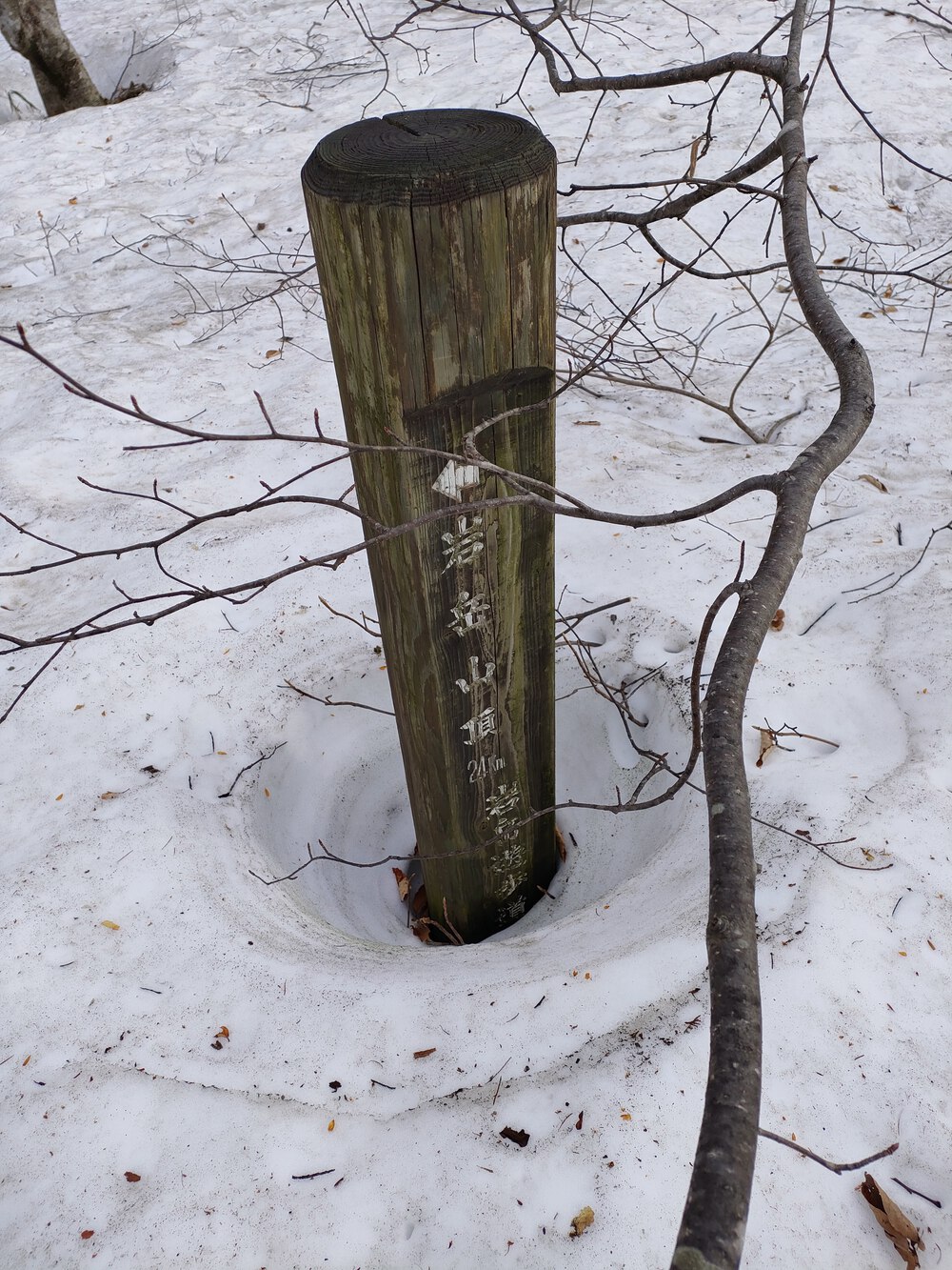 白馬岩岳　信濃路 自然歩道 岩岳ルートの写真19
