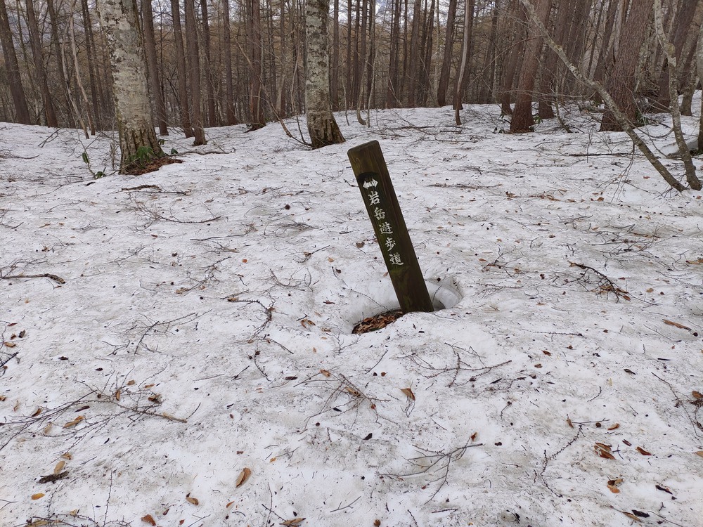 白馬岩岳　信濃路 自然歩道 岩岳ルートの写真20